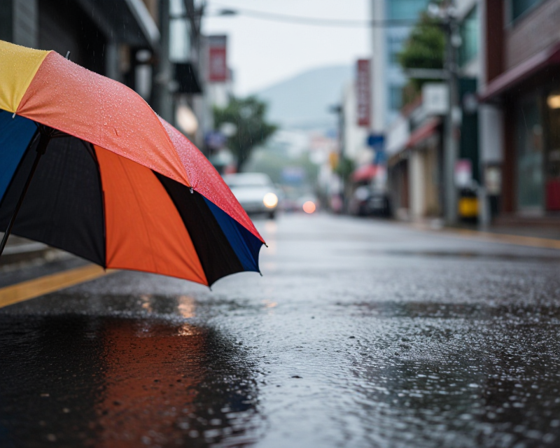 Rainy Day in Seoul